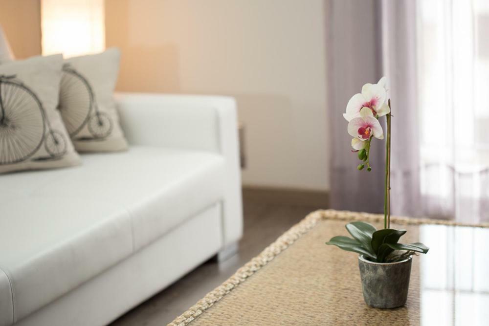 Apartamentos Dacris ヘルテ エクステリア 写真